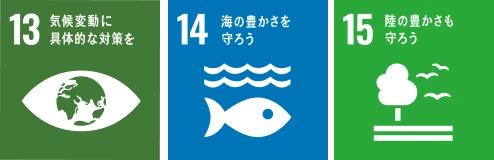 SDGs